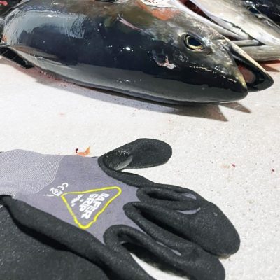 A3 Cut Resistant Fishing Gloves - Nitrile Coated Gloves with Touchscreen - Safer Grip by OPNBAR™ (2&12 Pack)