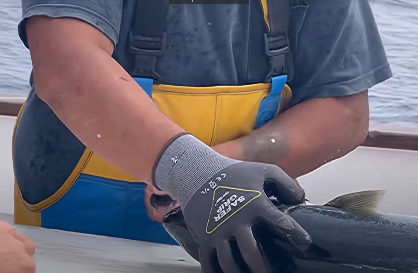 A3 Cut Resistant Fishing Gloves - Nitrile Coated Gloves with Touchscreen - Safer Grip by OPNBAR™ (2&12 Pack)